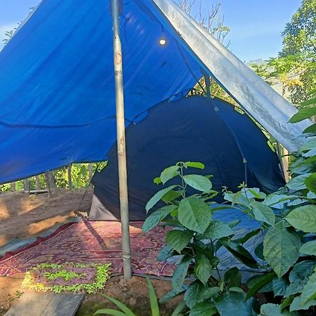 Freedom Camp Ella Hotel Bagian luar foto