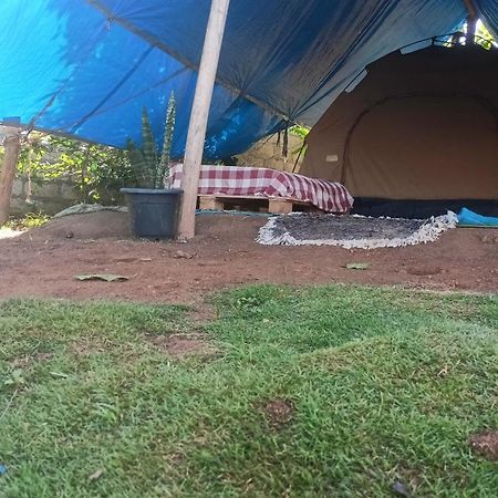 Freedom Camp Ella Hotel Bagian luar foto
