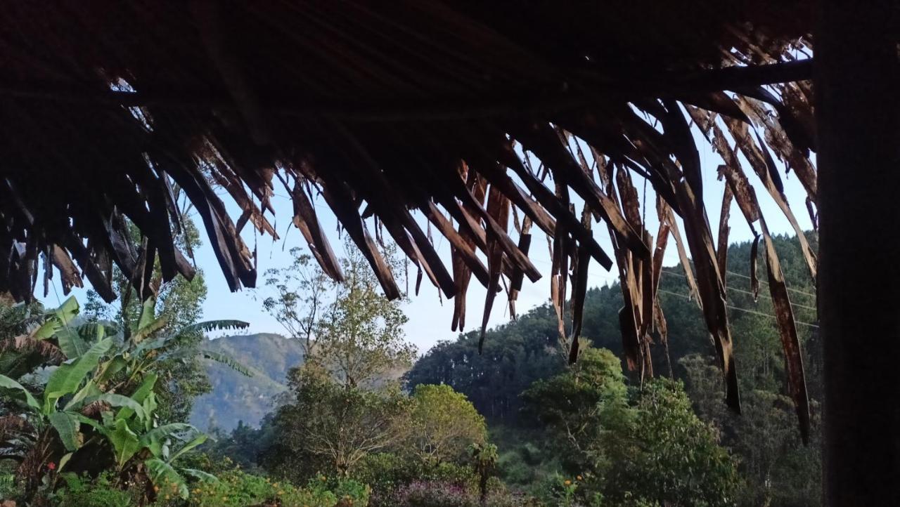 Freedom Camp Ella Hotel Bagian luar foto