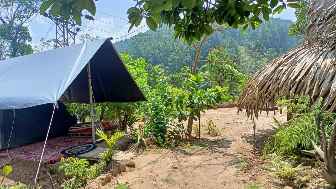 Freedom Camp Ella Hotel Bagian luar foto