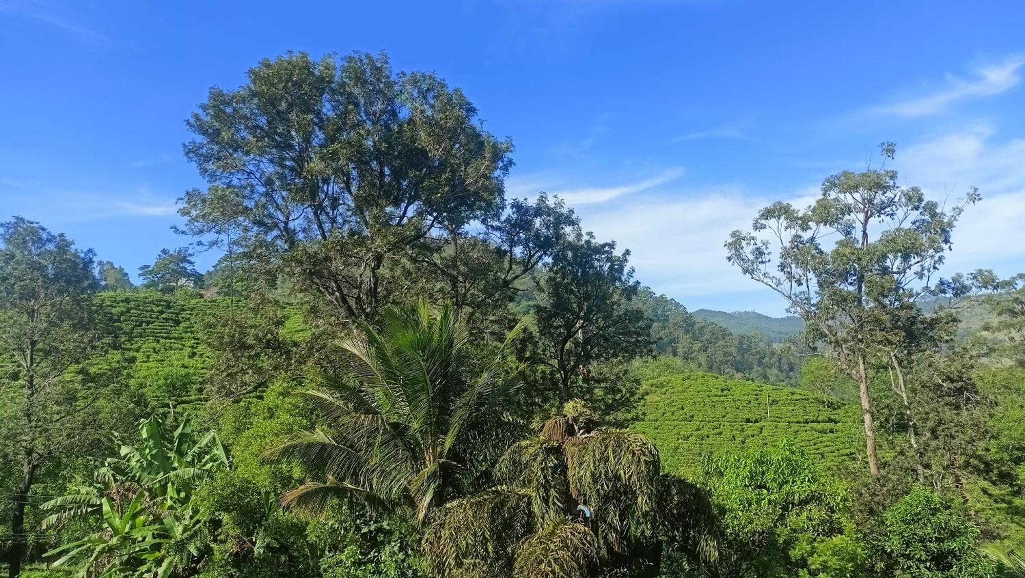 Freedom Camp Ella Hotel Bagian luar foto