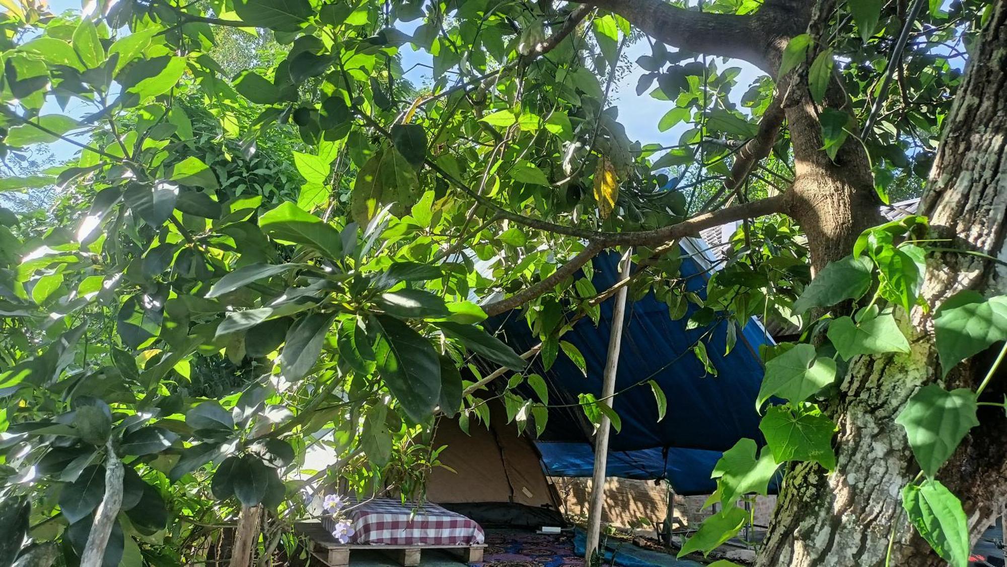 Freedom Camp Ella Hotel Bagian luar foto